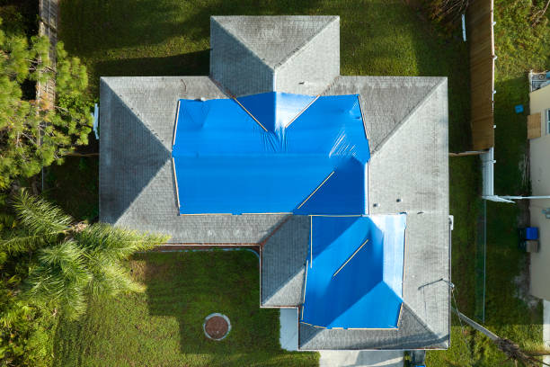 Best Roof Leak Repair  in Myrtle Grove, FL